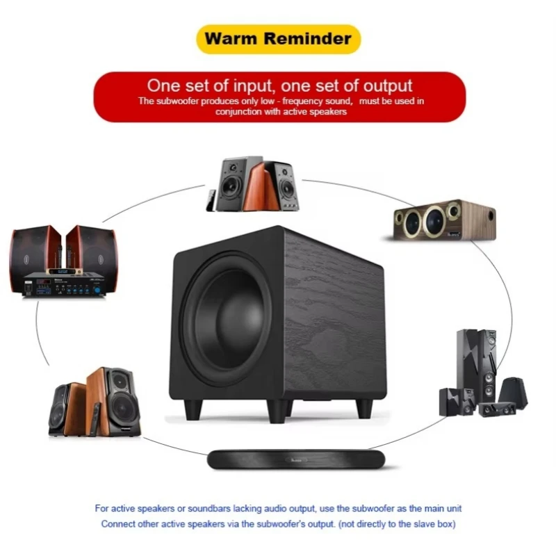 10 Inch Active Subwoofer Speak - Home Improvement Dvd 评论和价格